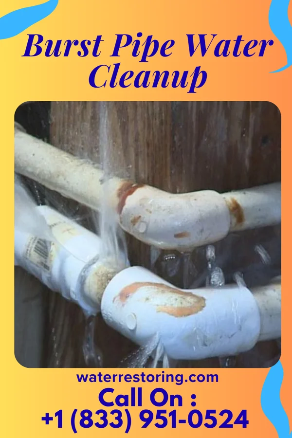Burst Pipe Water Cleanup in Carrington, ND