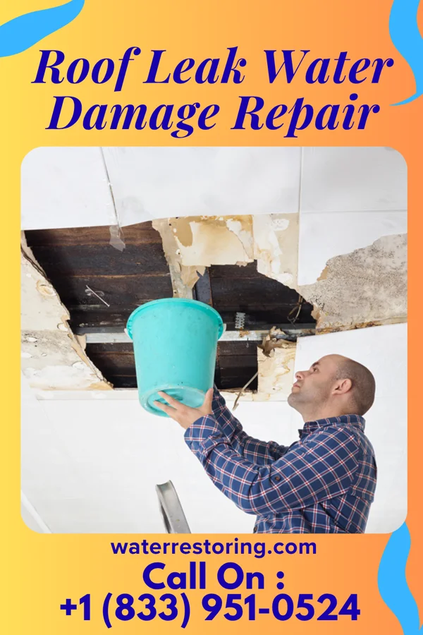Roof Leak Water Damage Repair in Carrington, ND