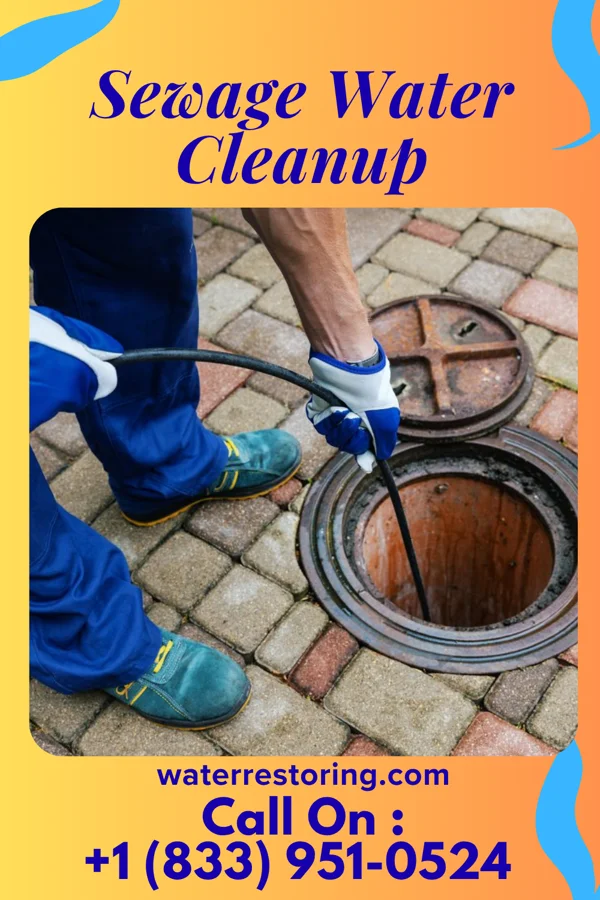 Sewage Water Cleanup in Carrington, ND